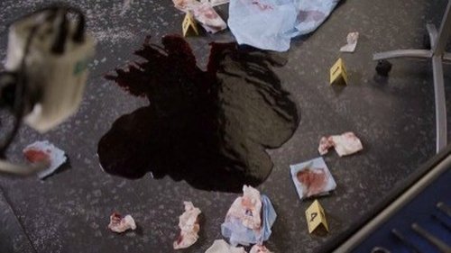 Bones - S8E15: The Shot in the Dark
