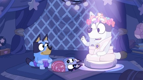 Bluey - S1E32: Bumpy and the Wise Old Wolfhound