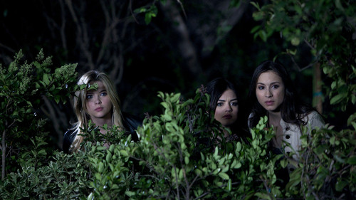 Pretty Little Liars - S2E3: My Name Is Trouble