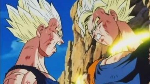 Dragon Ball Z - S8E11: The Long Awaited Fight
