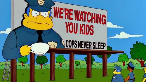 The Simpsons - S10E11: Wild Barts Can't Be Broken