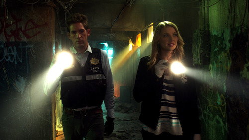 CSI: Crime Scene Investigation - S13E21: Ghosts of the Past