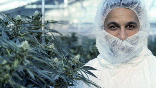 Horizon - S56E6: Cannabis: Miracle Medicine or Dangerous Drug?