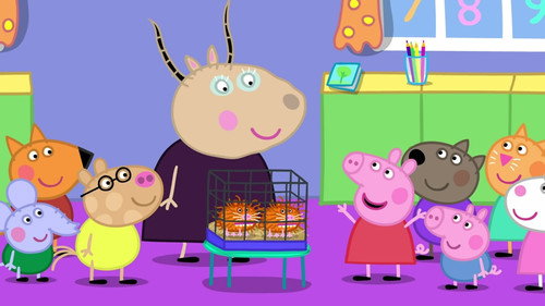 Peppa Pig - S7E38: Guinea Pigs
