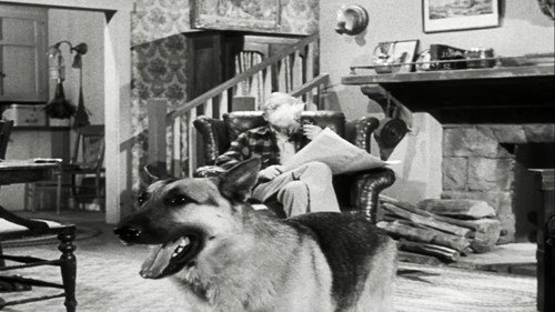 Perry Mason - S1E35: The Case of the Lazy Lover
