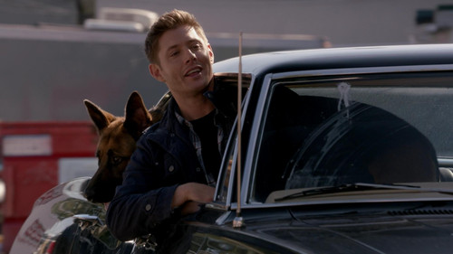 Supernatural - S9E5: Dog Dean Afternoon