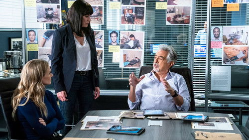 Criminal Minds - S14E9: Broken Wing