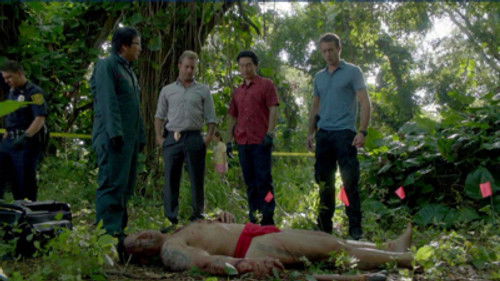 Hawaii Five-0 - S2E17: Kupale (Defender)