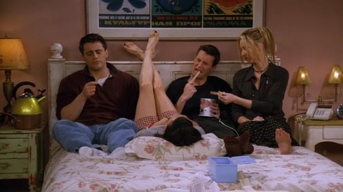 Friends - S3E16: The One with the Morning After
