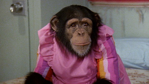 The Love Boat - S1E14: Isaac's Double Standard/One More Time/Chimpanzeeshines