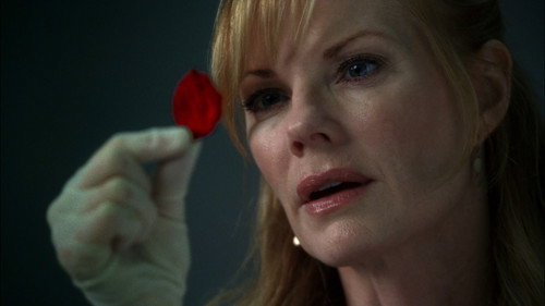 CSI: Crime Scene Investigation - S7E3: Toe Tags