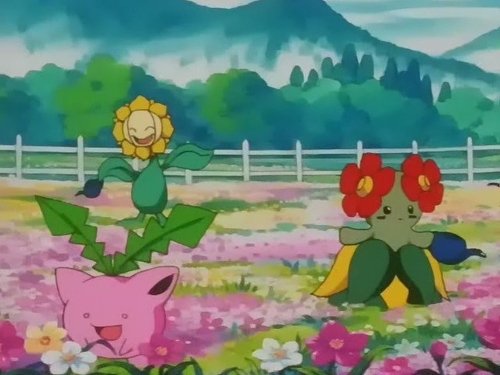 Pokémon - S4E21: The Grass Route