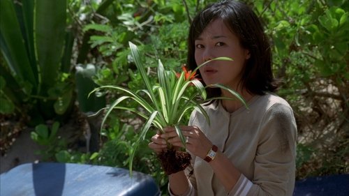 Lost - S1E6: House of the Rising Sun
