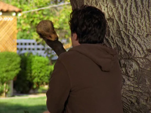 Scrubs - S5E8: My Big Bird