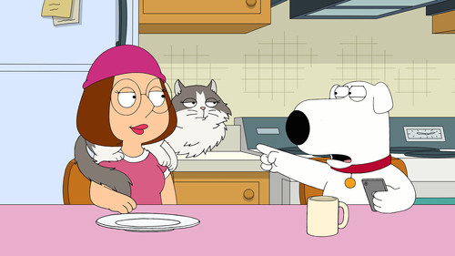 Family Guy - S19E19: Family Cat