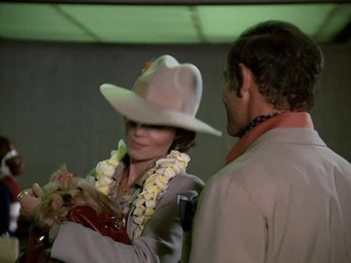 Hawaii Five-O - S11E16: The Bark And The Bite
