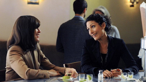 The Good Wife - S3E5: Marthas and Caitlins