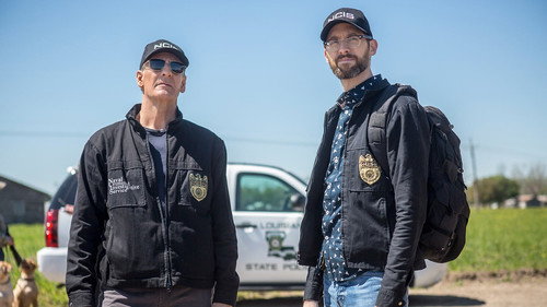 NCIS: New Orleans - S4E21: Mind Games