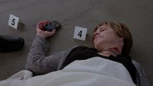 Criminal Minds - S9E3: Final Shot
