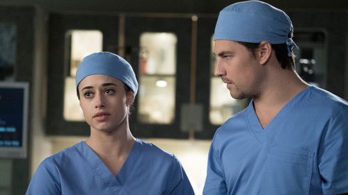 Grey's Anatomy - S14E19: Beautiful Dreamer