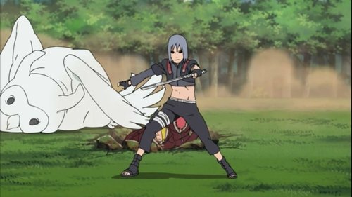 Naruto Shippūden - S2E46: The Unfinished Page