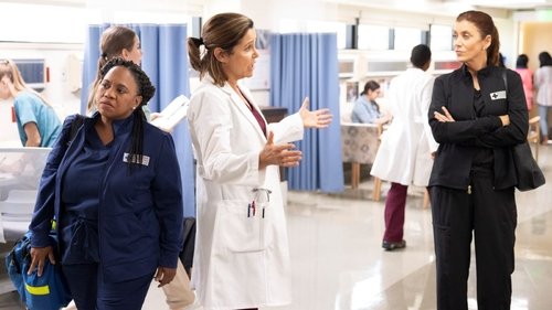 Grey's Anatomy - S19E5: When I Get to the Border