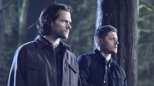 Supernatural - S14E16: Don't Go in the Woods