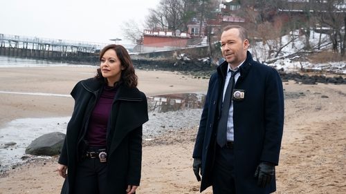 Blue Bloods - S11E8: More Than Meets the Eye