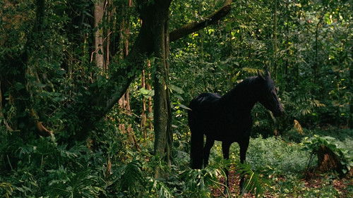 Lost - S2E9: What Kate Did