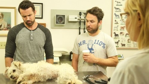 It's Always Sunny in Philadelphia - S14E9: A Woman's Right to Chop