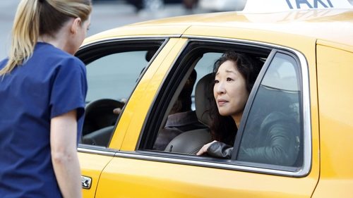 Grey's Anatomy - S10E24: Fear (of the Unknown)