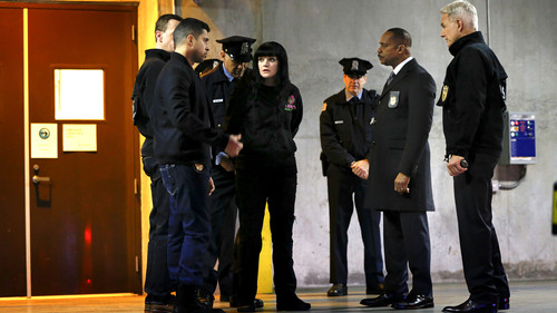 NCIS - S14E15: Pandora's Box (I)