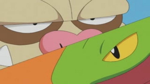 Pokémon - S7E30: Balance of Power
