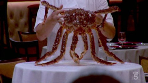 Hell's Kitchen - S5E9: Day 9