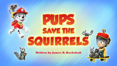 PAW Patrol - S6E33: Pups Save the Squirrels
