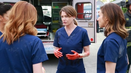 Grey's Anatomy - S11E23: Time Stops
