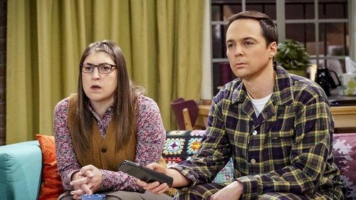 The Big Bang Theory - S12E10: The VCR Illumination