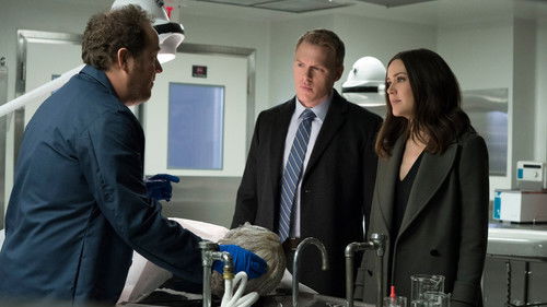 The Blacklist - S6E18: The Brockton College Killer
