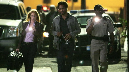 CSI: Crime Scene Investigation - S8E6: Who and What (I)