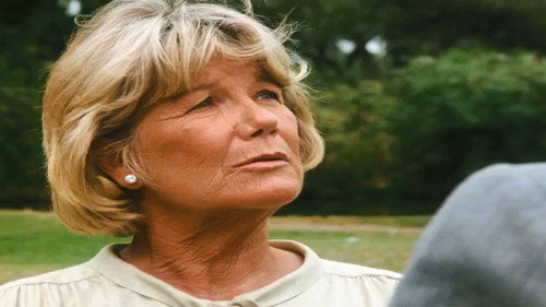 Dallas - S11E13: Brother, Can You Spare a Child?