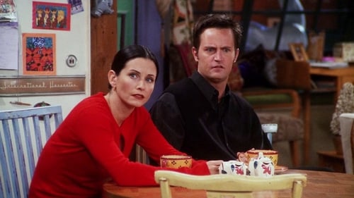 Friends - S7E7: The One with Ross's Library Book