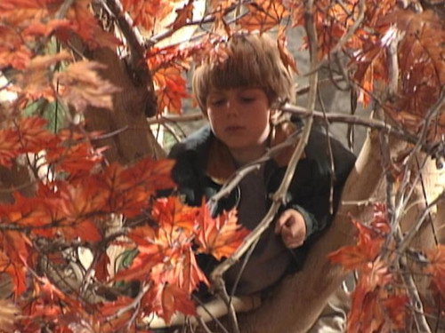 Home Improvement - S2E9: Where There's a Will, There's a Way