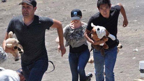 MythBusters - S12E10: Household Disasters