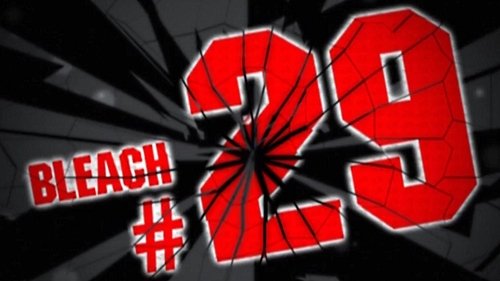 Bleach - S1E29: Breakthrough! The Shinigami's Encompassing Net
