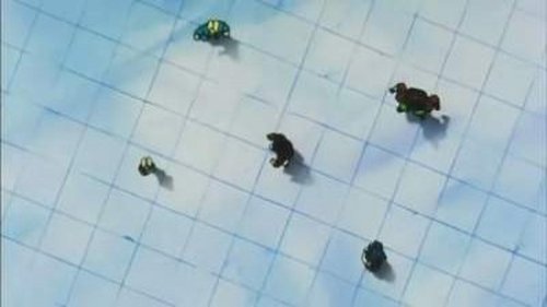 Dragon Ball Z - S8E5: Battle Supreme