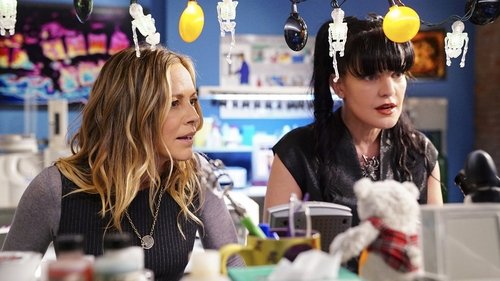 NCIS - S15E6: Trapped