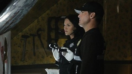 CSI: Crime Scene Investigation - S11E22: In A Dark, Dark House (3)