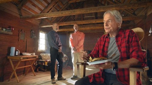 NCIS - S16E4: Third Wheel
