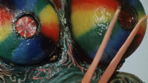 Kamen Rider - S2E50: A Little Friendship