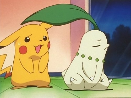 Pokémon - S3E20: Chikorita's Big Upset